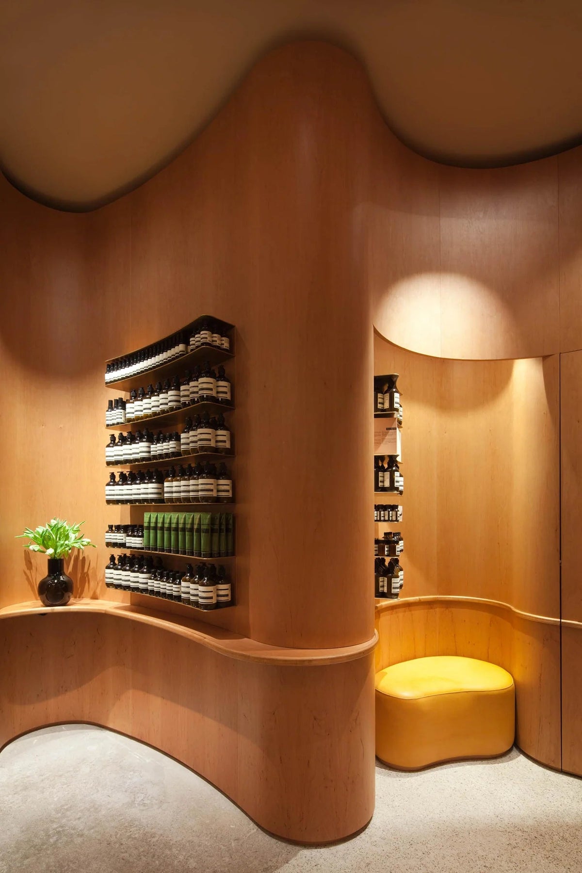 Our Story – aesopskincare.ph